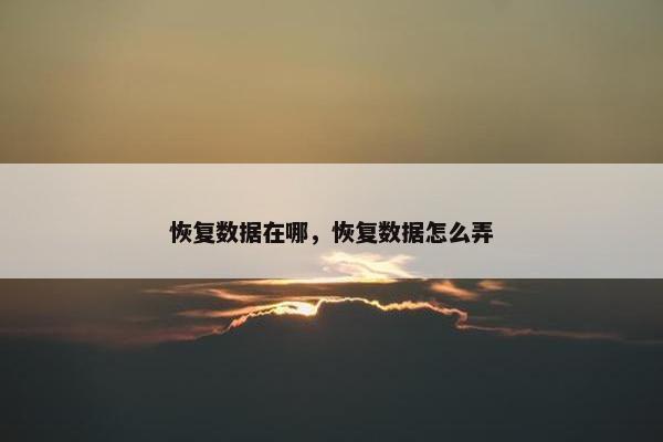 恢复数据在哪，恢复数据怎么弄