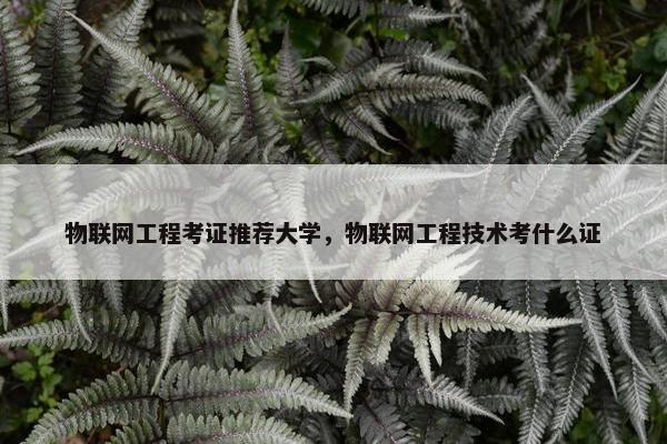 物联网工程考证推荐大学，物联网工程技术考什么证