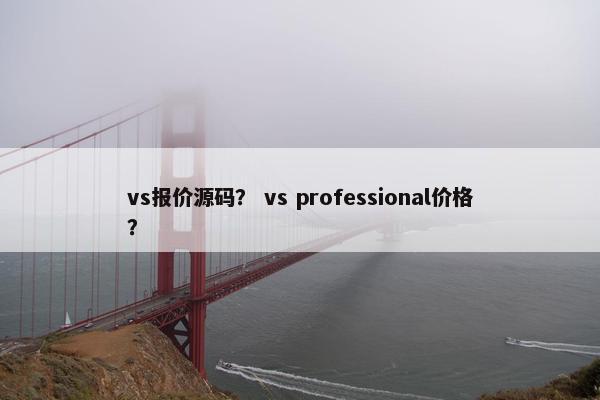 vs报价源码？ vs professional价格？