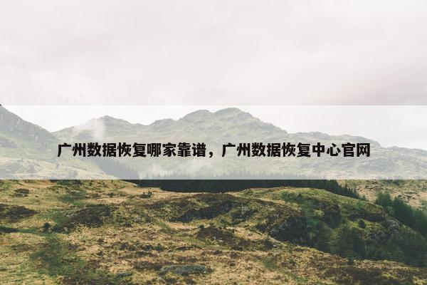 广州数据恢复哪家靠谱，广州数据恢复中心官网