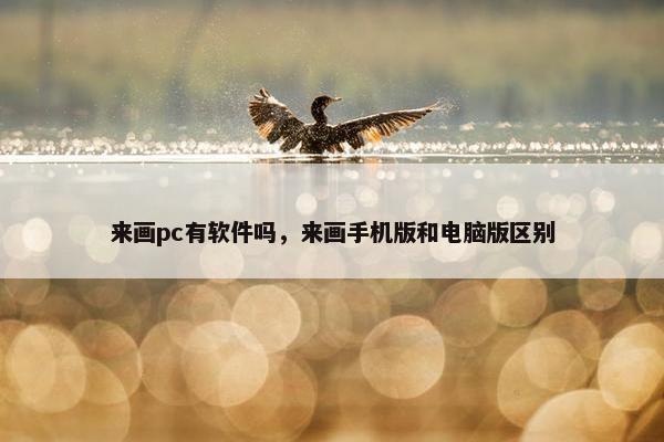 来画pc有软件吗，来画手机版和电脑版区别