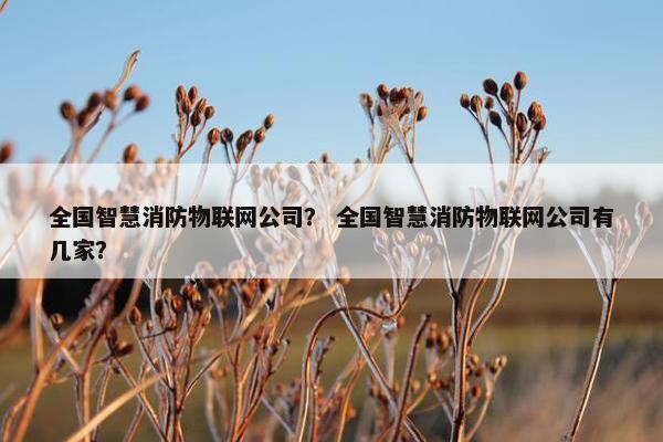 全国智慧消防物联网公司? 全国智慧消防物联网公司有几家? 全国智慧消防物联网公司? 全国智慧消防物联网公司有几家?