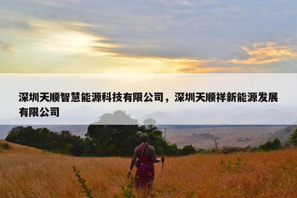 深圳天顺智慧能源科技有限公司，深圳天顺祥新能源发展有限公司