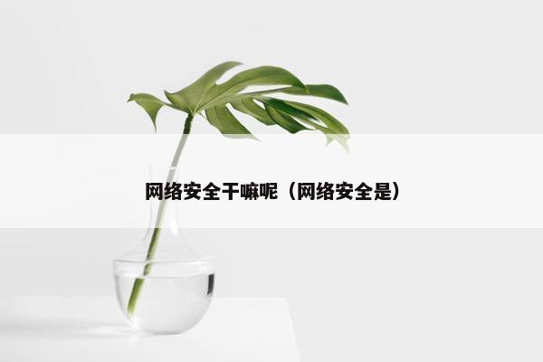 网络安全干嘛呢（网络安全是）