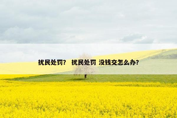 扰民处罚？ 扰民处罚 没钱交怎么办？