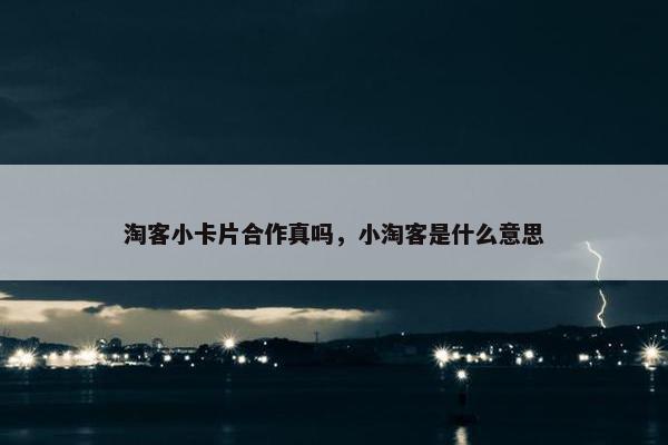 淘客小卡片合作真吗，小淘客是什么意思