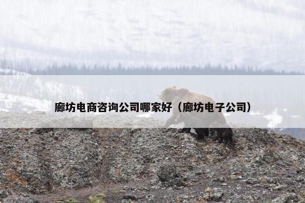 廊坊电商咨询公司哪家好（廊坊电子公司）