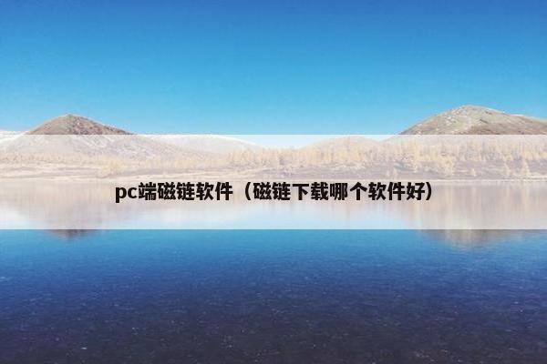pc端磁链软件（磁链下载哪个软件好）