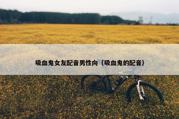 吸血鬼女友配音男性向（吸血鬼的配音）