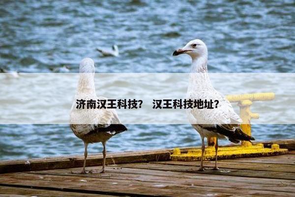 济南汉王科技？ 汉王科技地址？