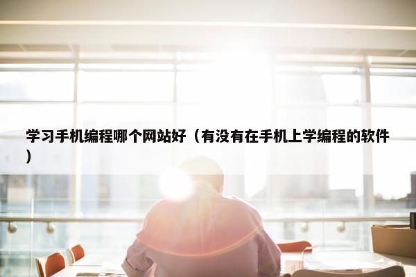 学习手机编程哪个网站好（有没有在手机上学编程的软件）