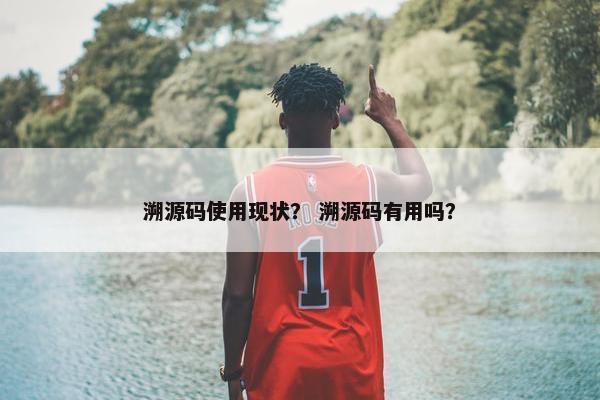 溯源码使用现状? 溯源码有用吗? 溯源码使用现状? 溯源码有用吗?