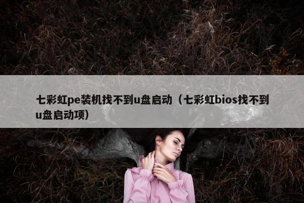 七彩虹pe装机找不到u盘启动（七彩虹bios找不到u盘启动项）