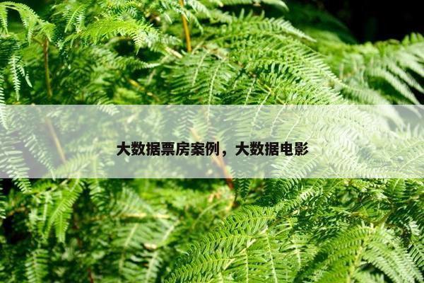 大数据票房案例，大数据电影