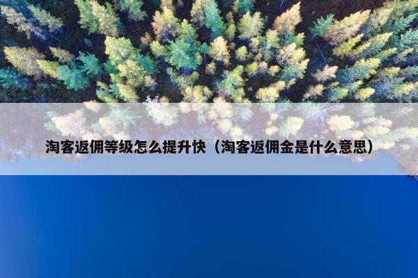 淘客返佣等级怎么提升快（淘客返佣金是什么意思）