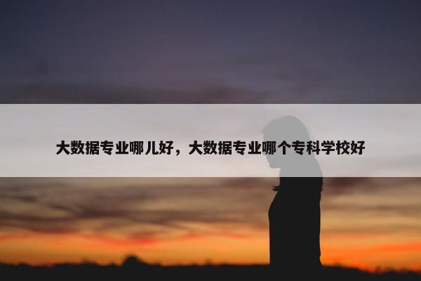 大数据专业哪儿好，大数据专业哪个专科学校好