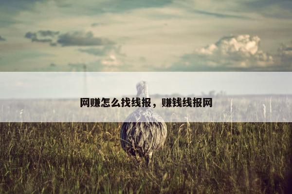 网赚怎么找线报，赚钱线报网