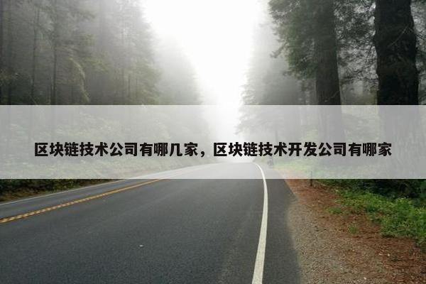 区块链技术公司有哪几家，区块链技术开发公司有哪家
