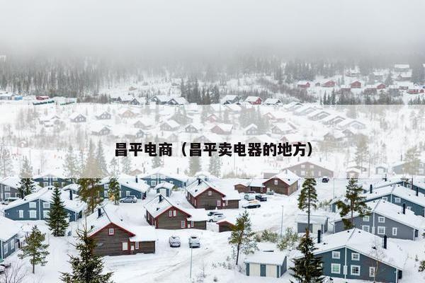 昌平电商（昌平卖电器的地方）