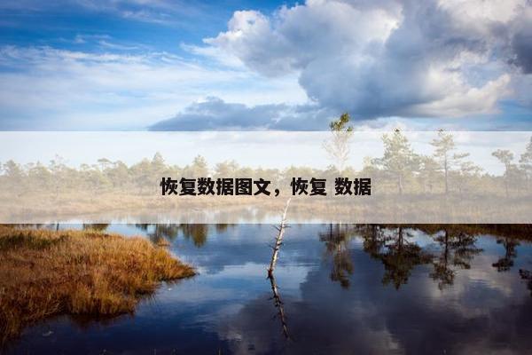 恢复数据图文，恢复 数据