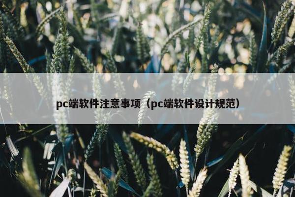 pc端软件注意事项（pc端软件设计规范）