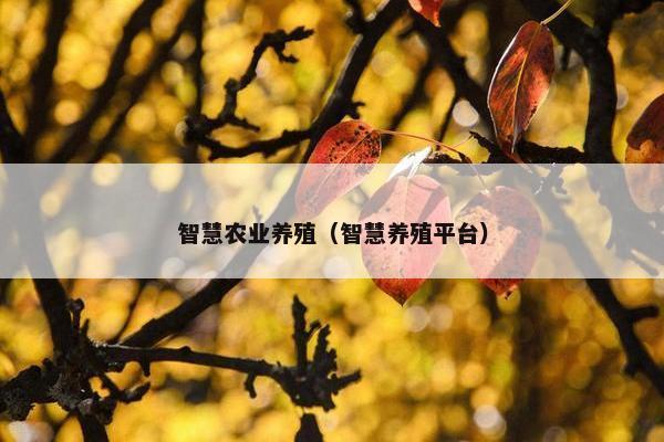 智慧农业养殖（智慧养殖平台）