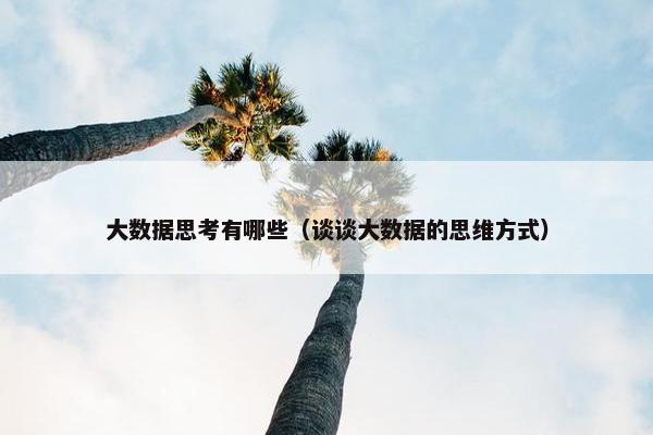 大数据思考有哪些（谈谈大数据的思维方式）