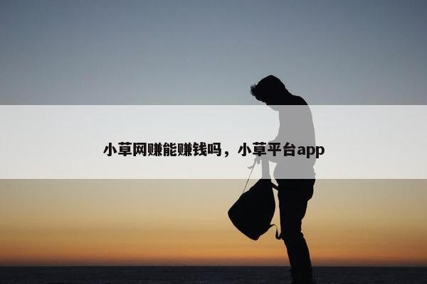 小草网赚能赚钱吗，小草平台app