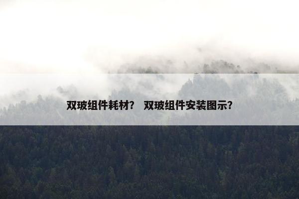 双玻组件耗材？ 双玻组件安装图示？