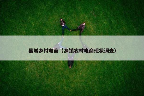 县域乡村电商（乡镇农村电商现状调查）