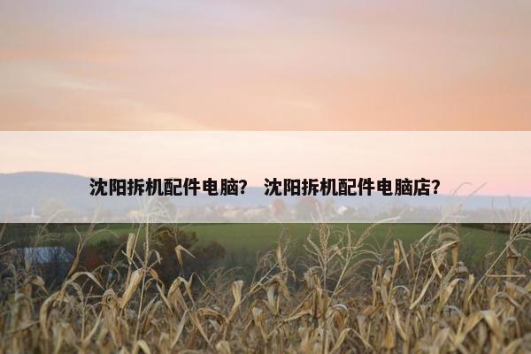 沈阳拆机配件电脑？ 沈阳拆机配件电脑店？