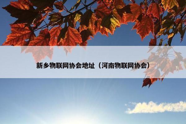 新乡物联网协会地址（河南物联网协会）