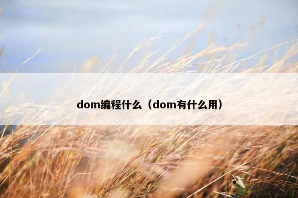 dom编程什么（dom有什么用）
