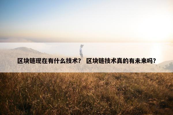区块链现在有什么技术？ 区块链技术真的有未来吗？
