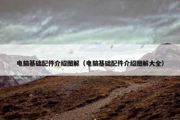 电脑基础配件介绍图解（电脑基础配件介绍图解大全）