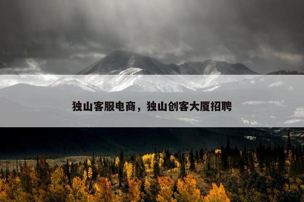 独山客服电商，独山创客大厦招聘