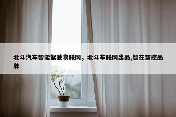北斗汽车智能驾驶物联网，北斗车联网出品,智在掌控品牌