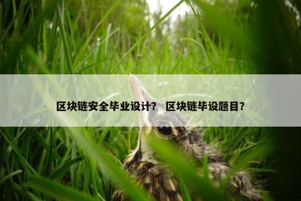 区块链安全毕业设计？ 区块链毕设题目？