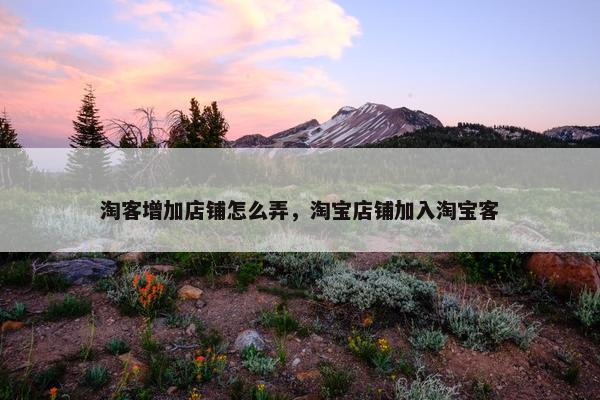 淘客增加店铺怎么弄，淘宝店铺加入淘宝客