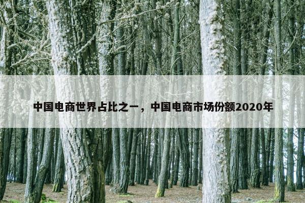 中国电商世界占比之一，中国电商市场份额2020年