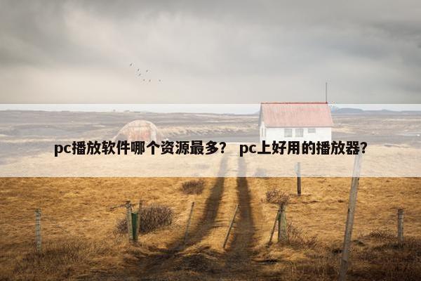 pc播放软件哪个资源最多？ pc上好用的播放器？