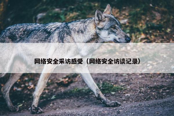 网络安全采访感受(网络安全访谈记录) 网络安全采访感受(网络安全访谈记录)