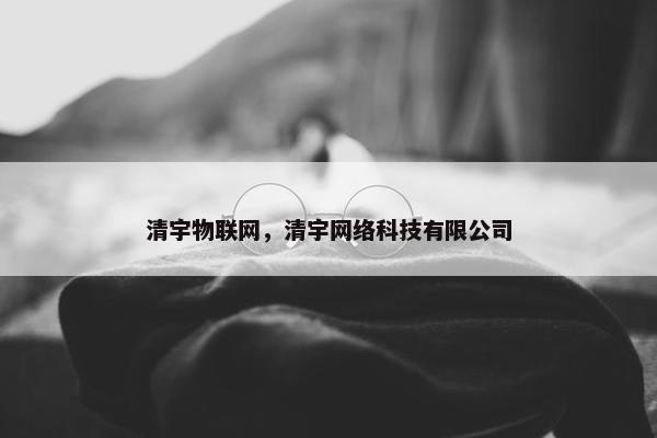 清宇物联网,清宇网络科技有限公司