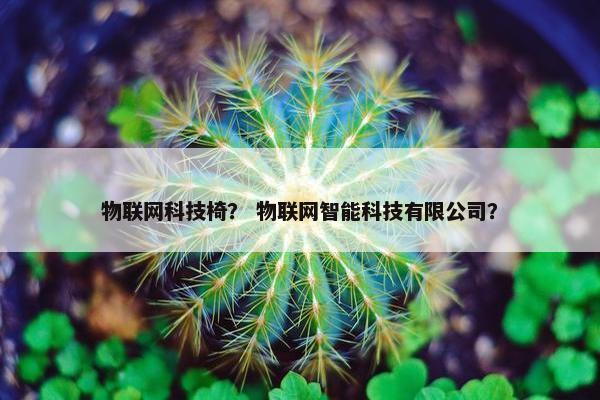物联网科技椅? 物联网智能科技有限公司? 物联网科技椅? 物联网智能科技有限公司?
