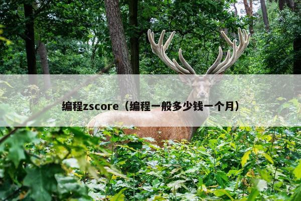 编程zscore（编程一般多少钱一个月）