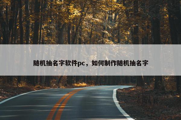 随机抽名字软件pc，如何制作随机抽名字