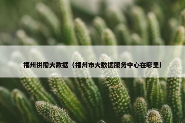 福州供需大数据(福州市大数据服务中心在哪里)