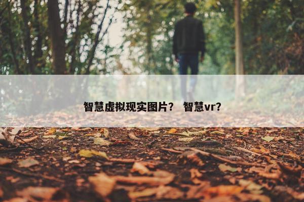 智慧虚拟现实图片？ 智慧vr？