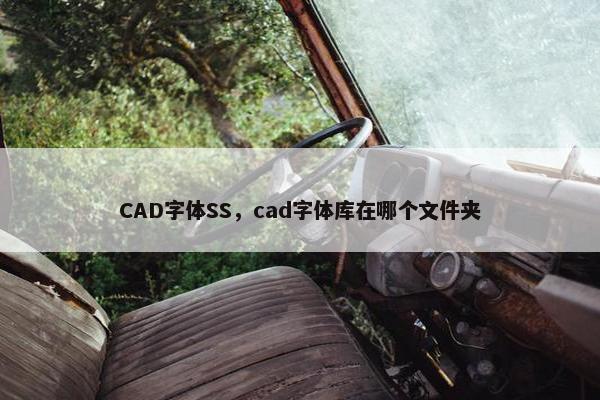 CAD字体SS，cad字体库在哪个文件夹