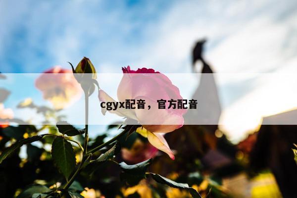 cgyx配音，官方配音